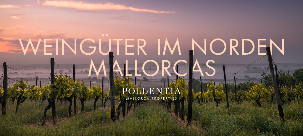 Tradition und Authentizität der Weingüter im Norden Mallorcas
